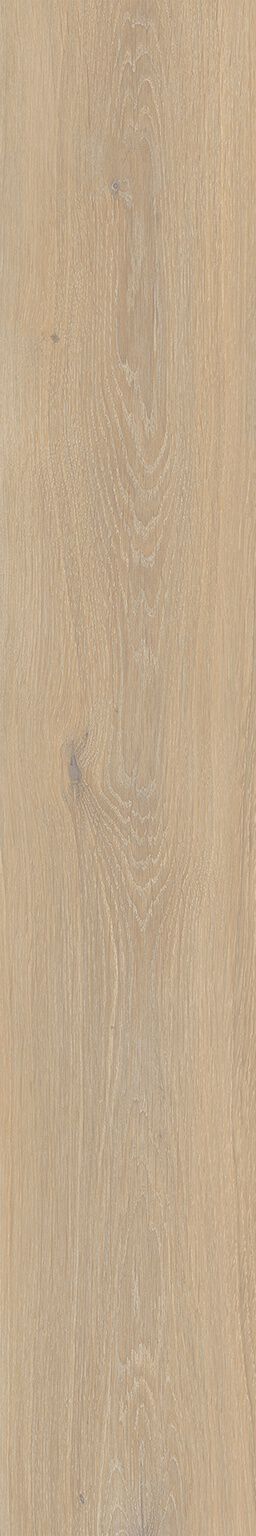 Bottega image number null