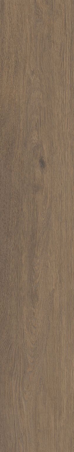 Roverello image number null