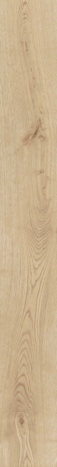 Heartwood image number null