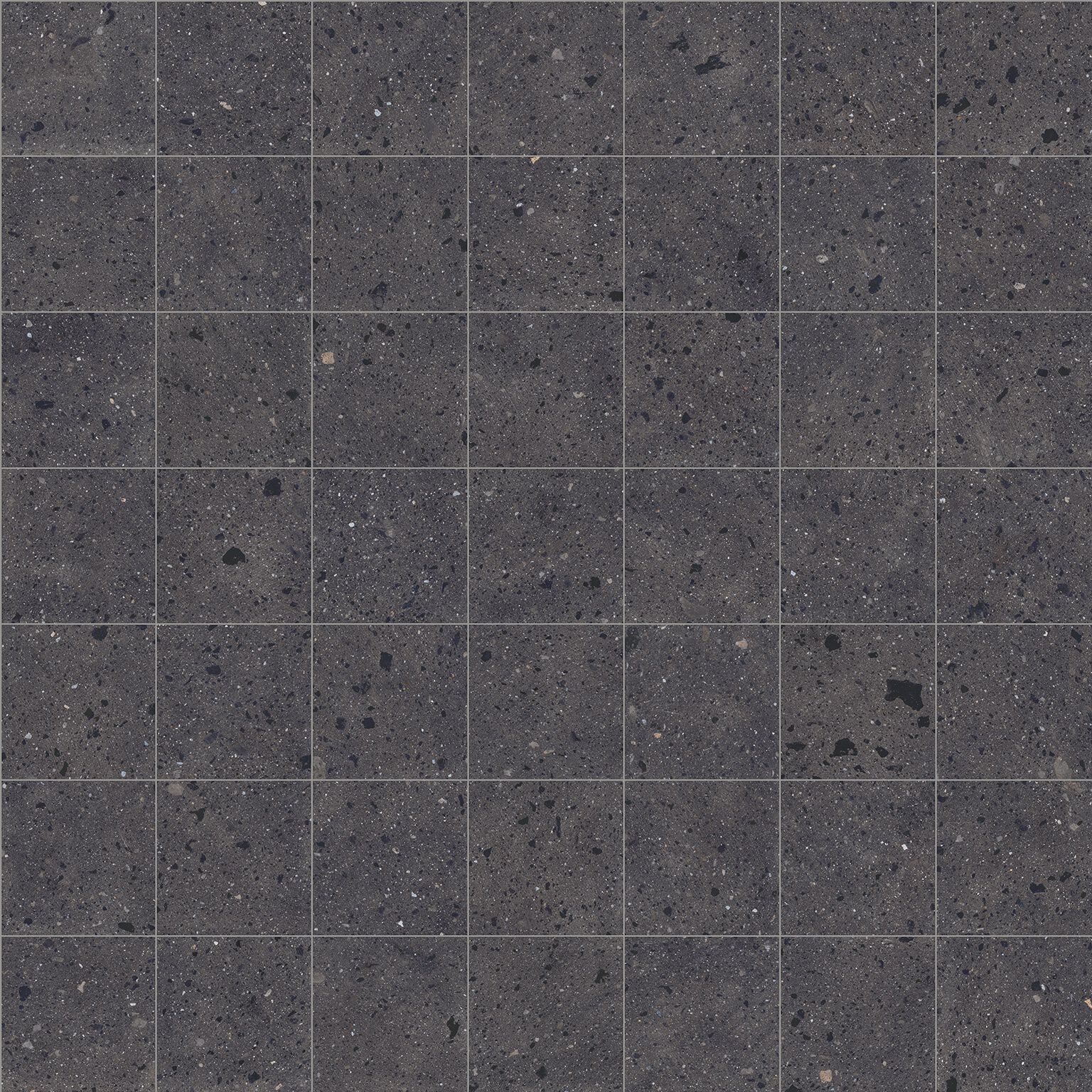 Santa Monica image number null