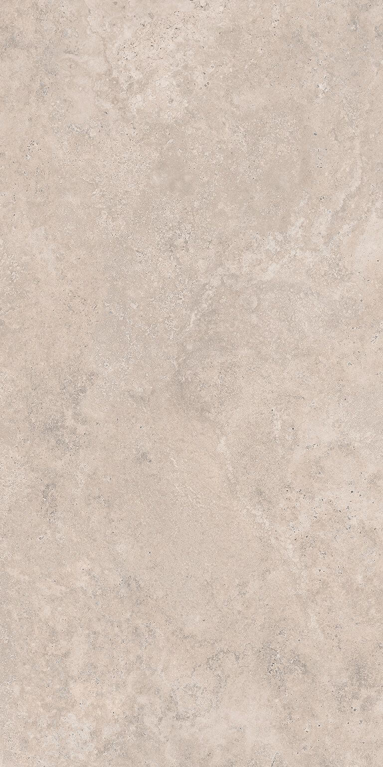 Fossilia Rectificado image number null