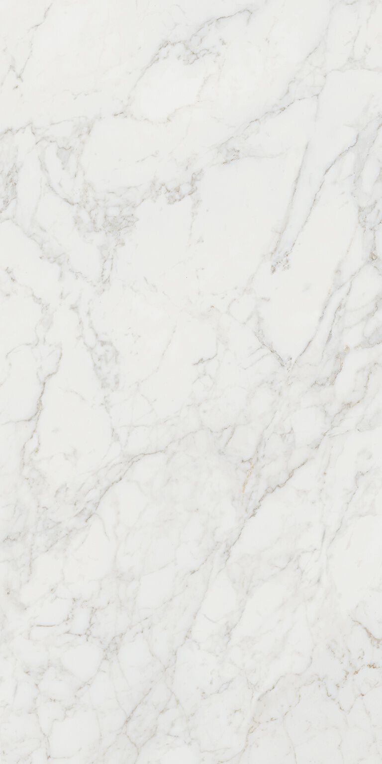 Monumenta image number null