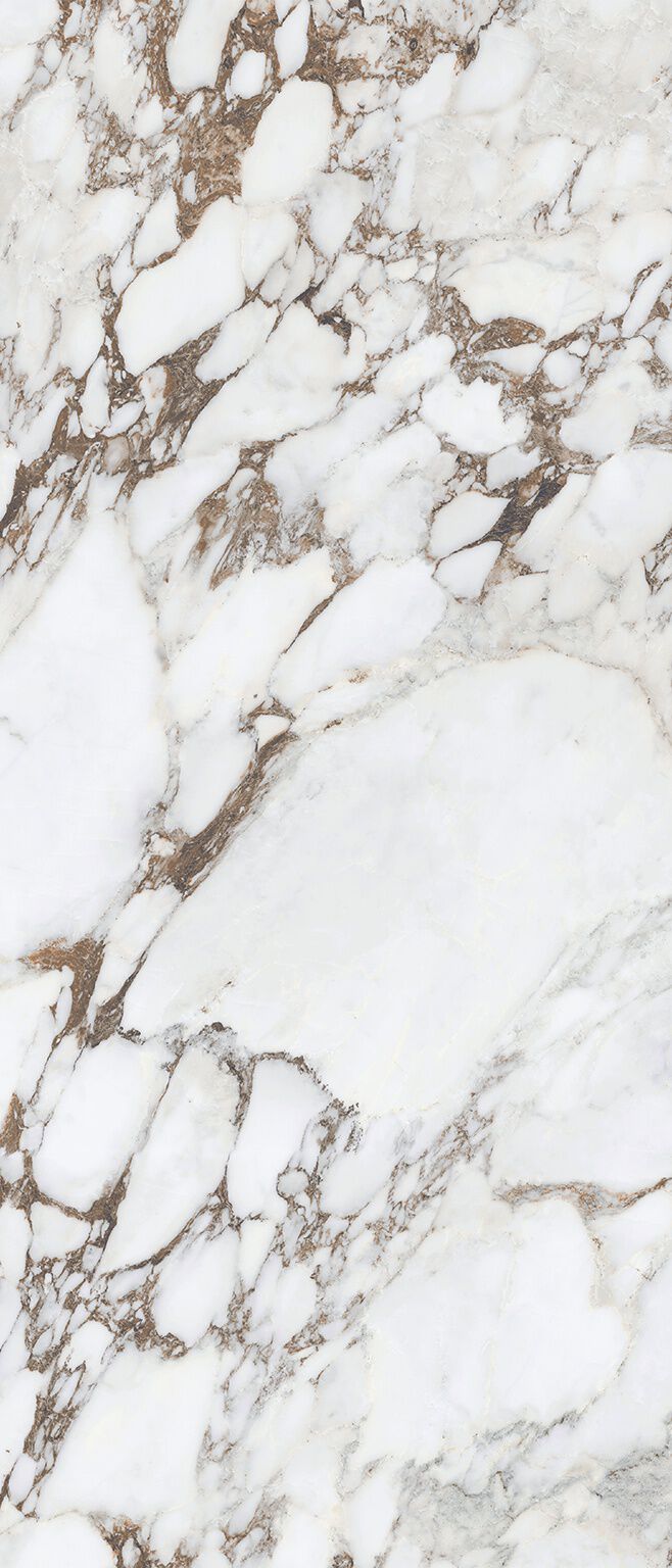 Exotic Marbles image number null