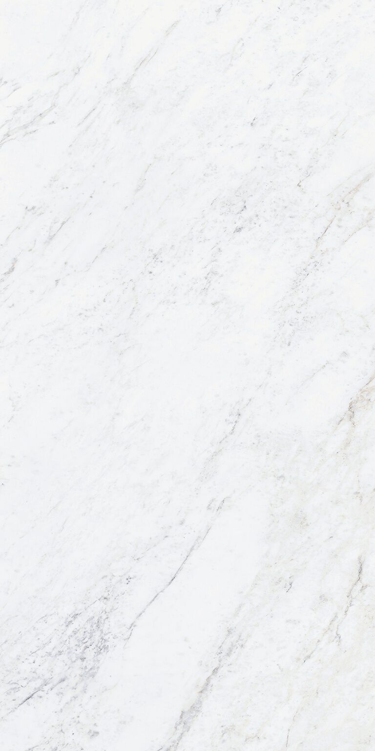 Elara Rectificado image number null