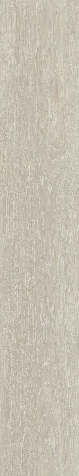 Bottega image number null