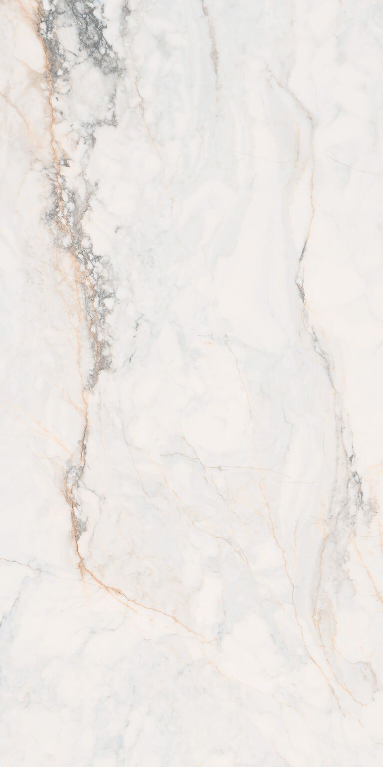 Samsara image number null