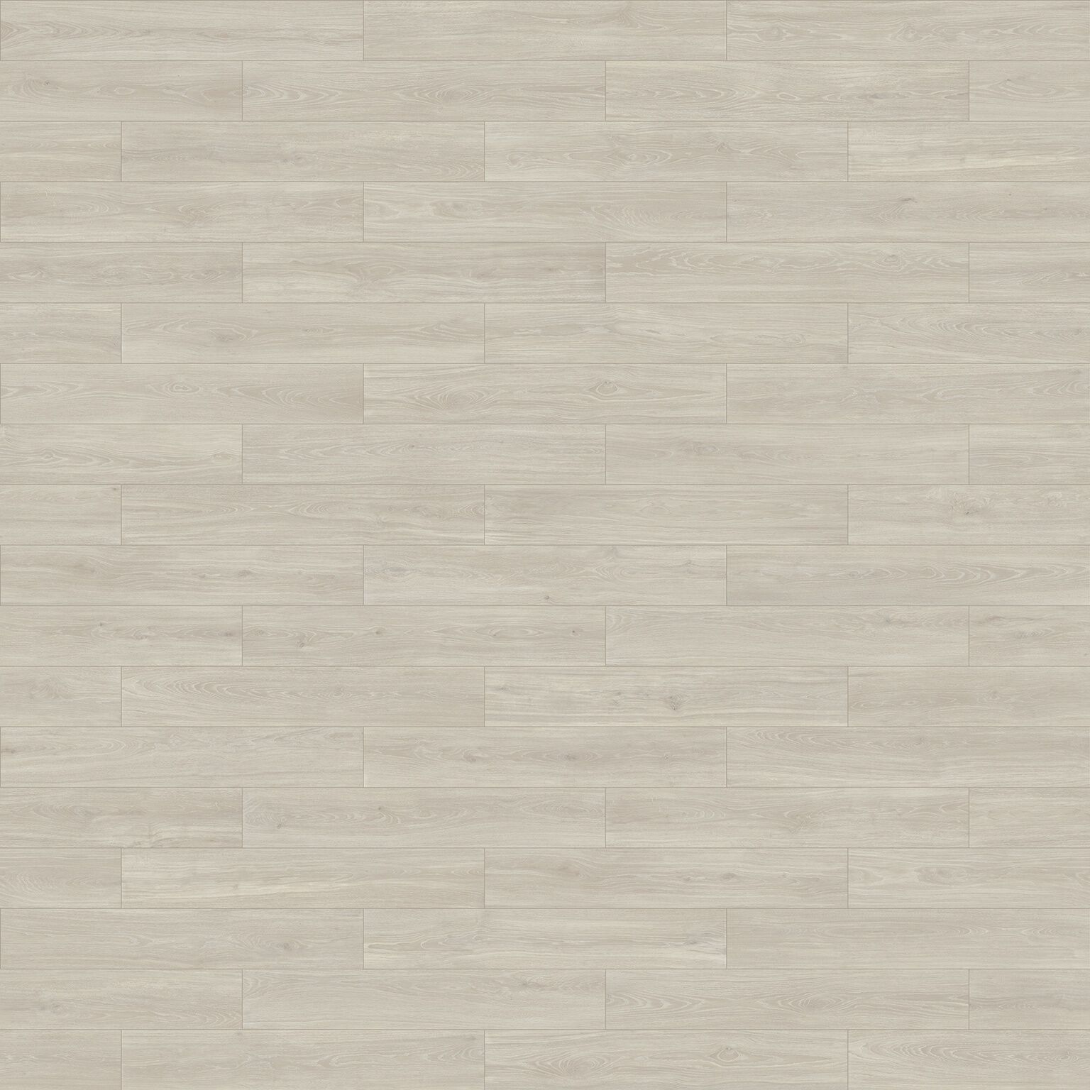 Bottega image number null