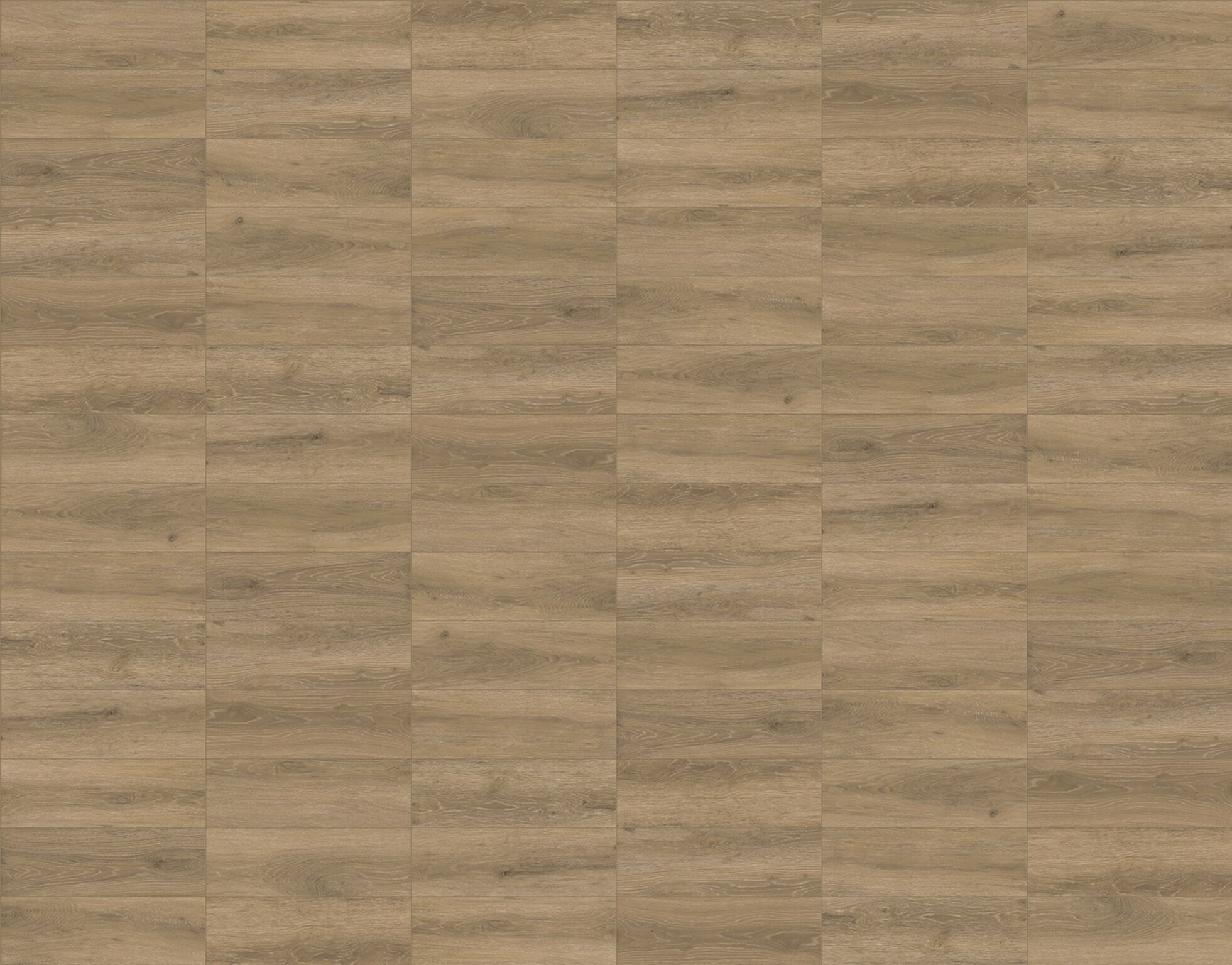 Rainforest image number null