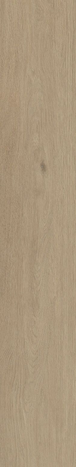 Roverello image number null