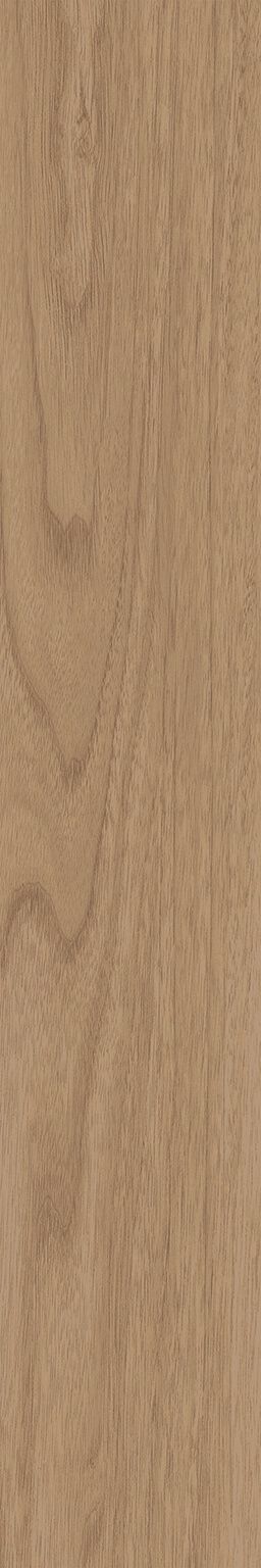 Botanika image number null