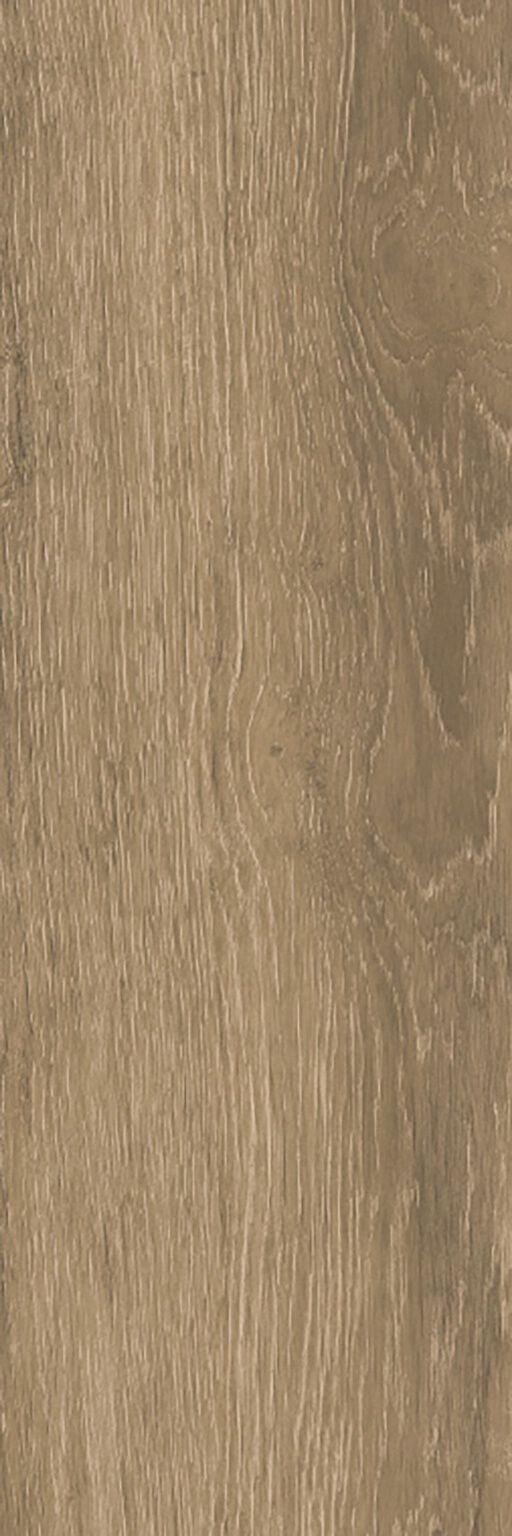 Rainforest image number null