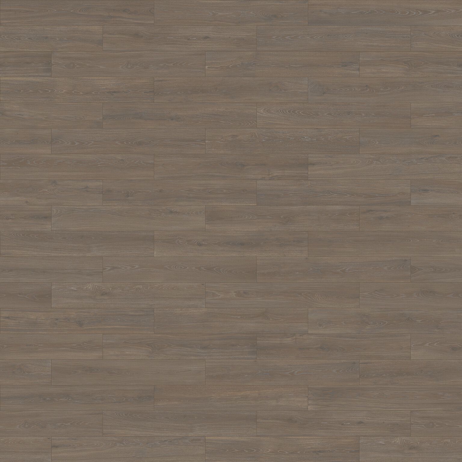 Bottega image number null