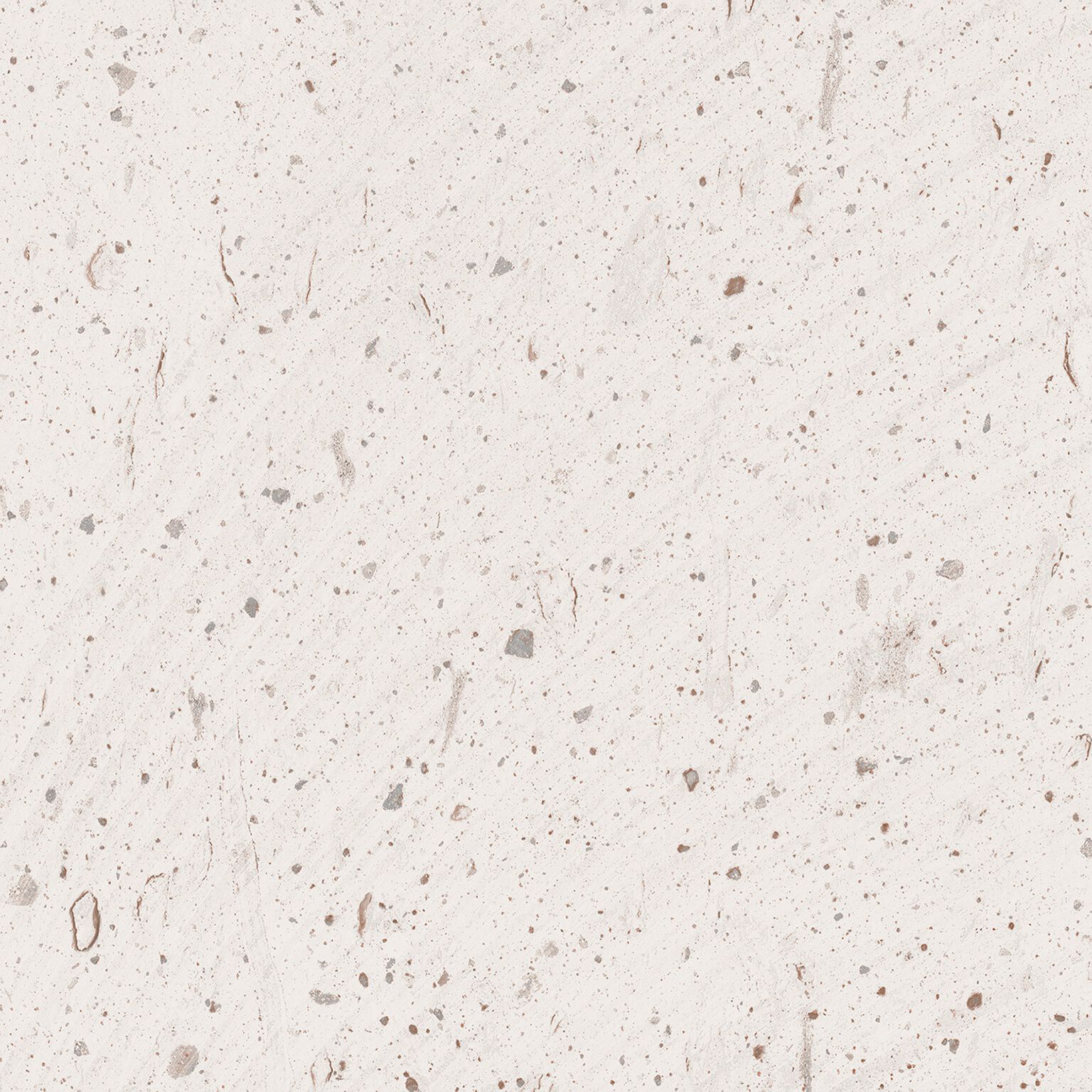 Santa Monica image number null