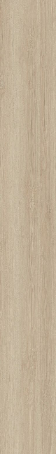 Avantgard image number null