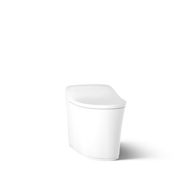 Sanitario Inteligente Eir