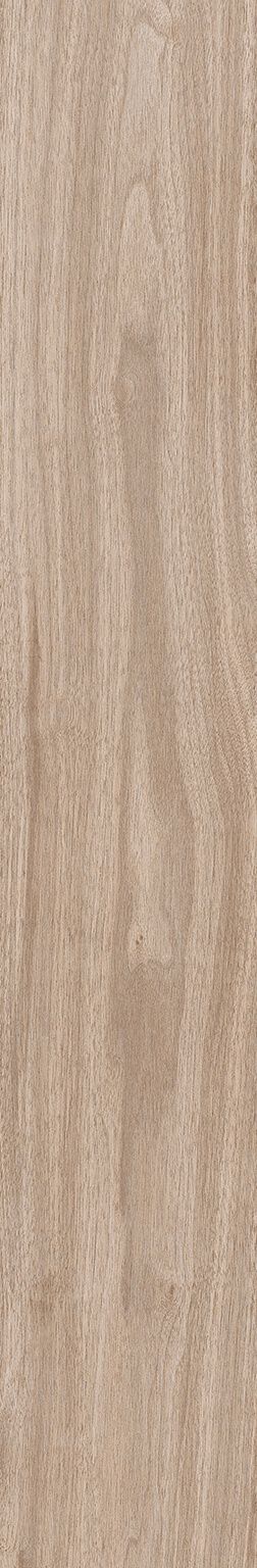 Copaiba image number null