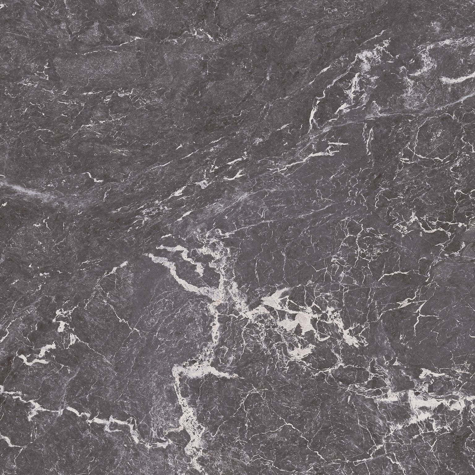 Serendipia image number null