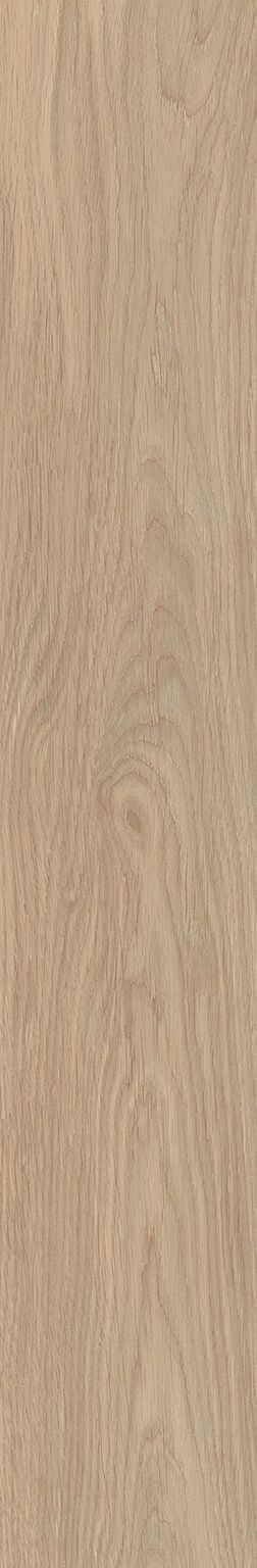 Bosco image number null