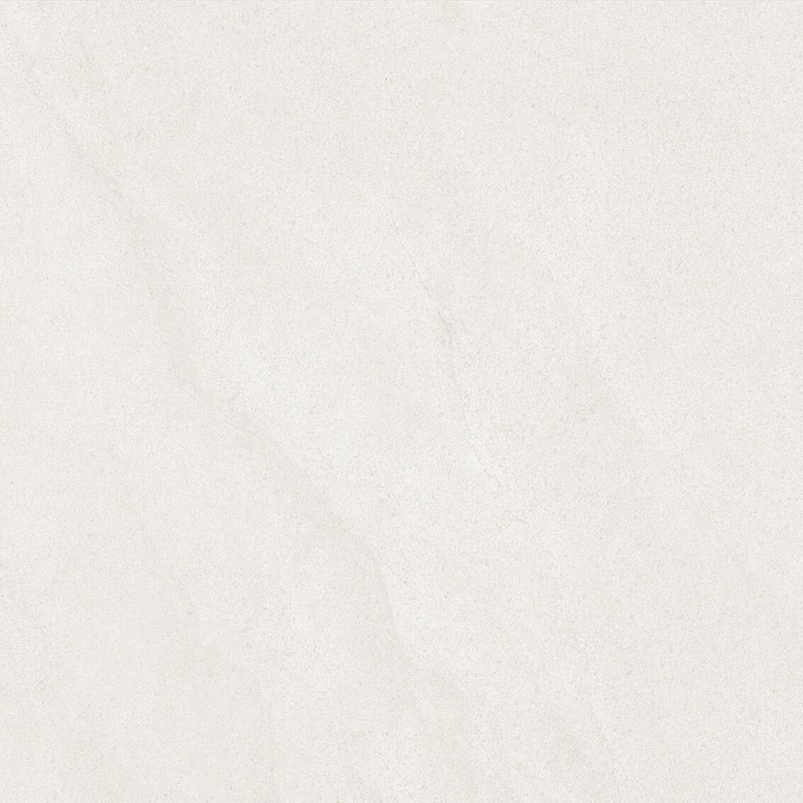 Basilea image number null