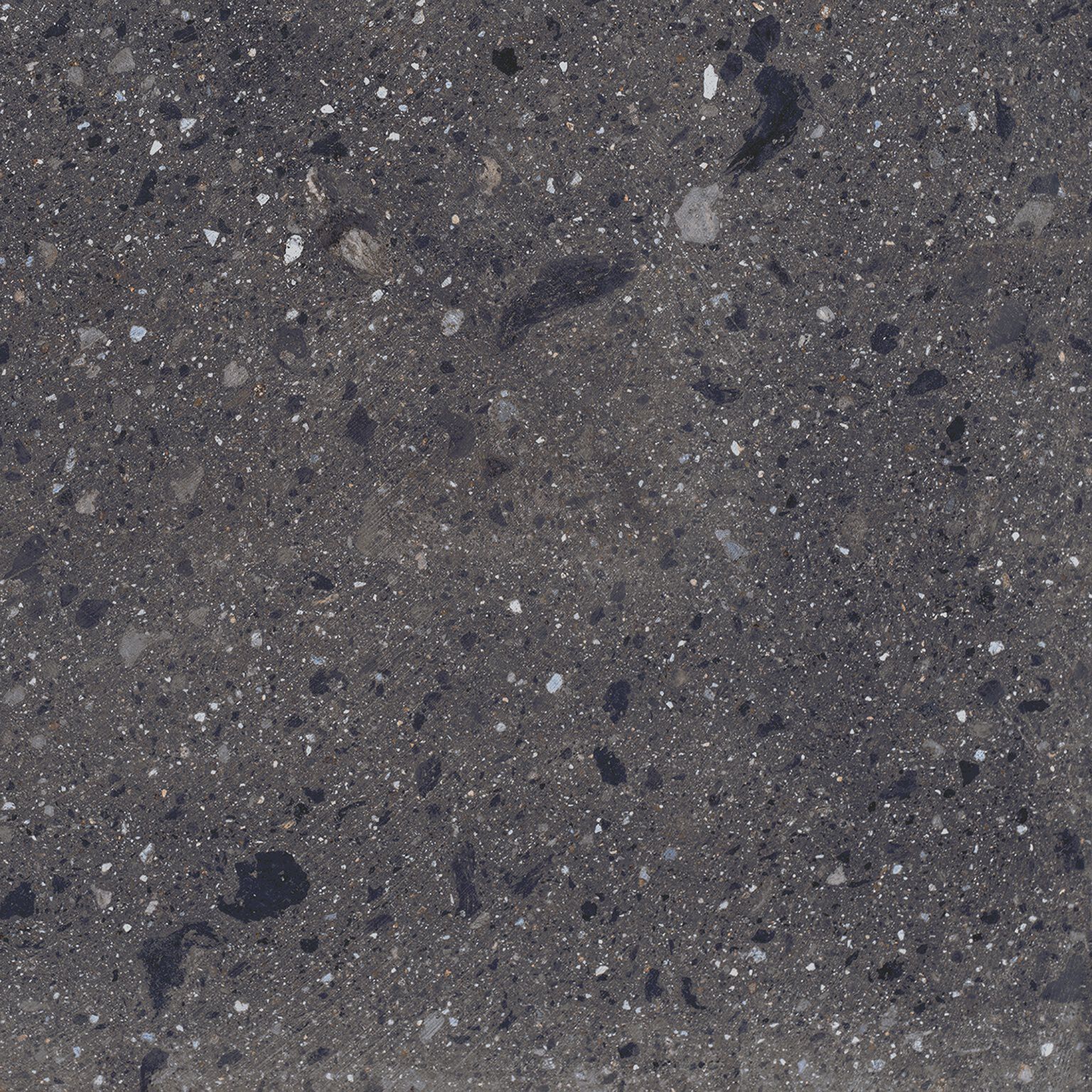 Santa Monica image number null