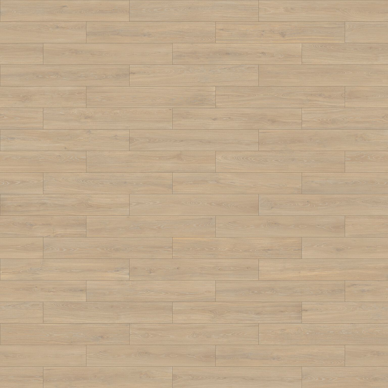 Bottega image number null