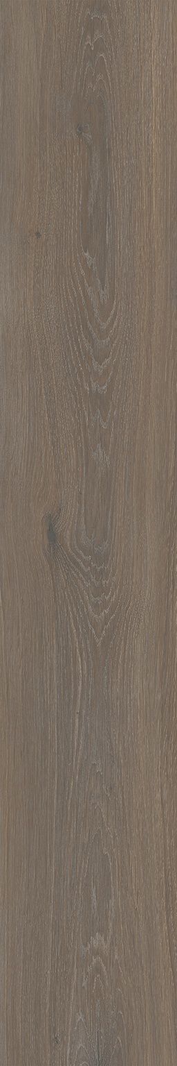 Bottega image number null