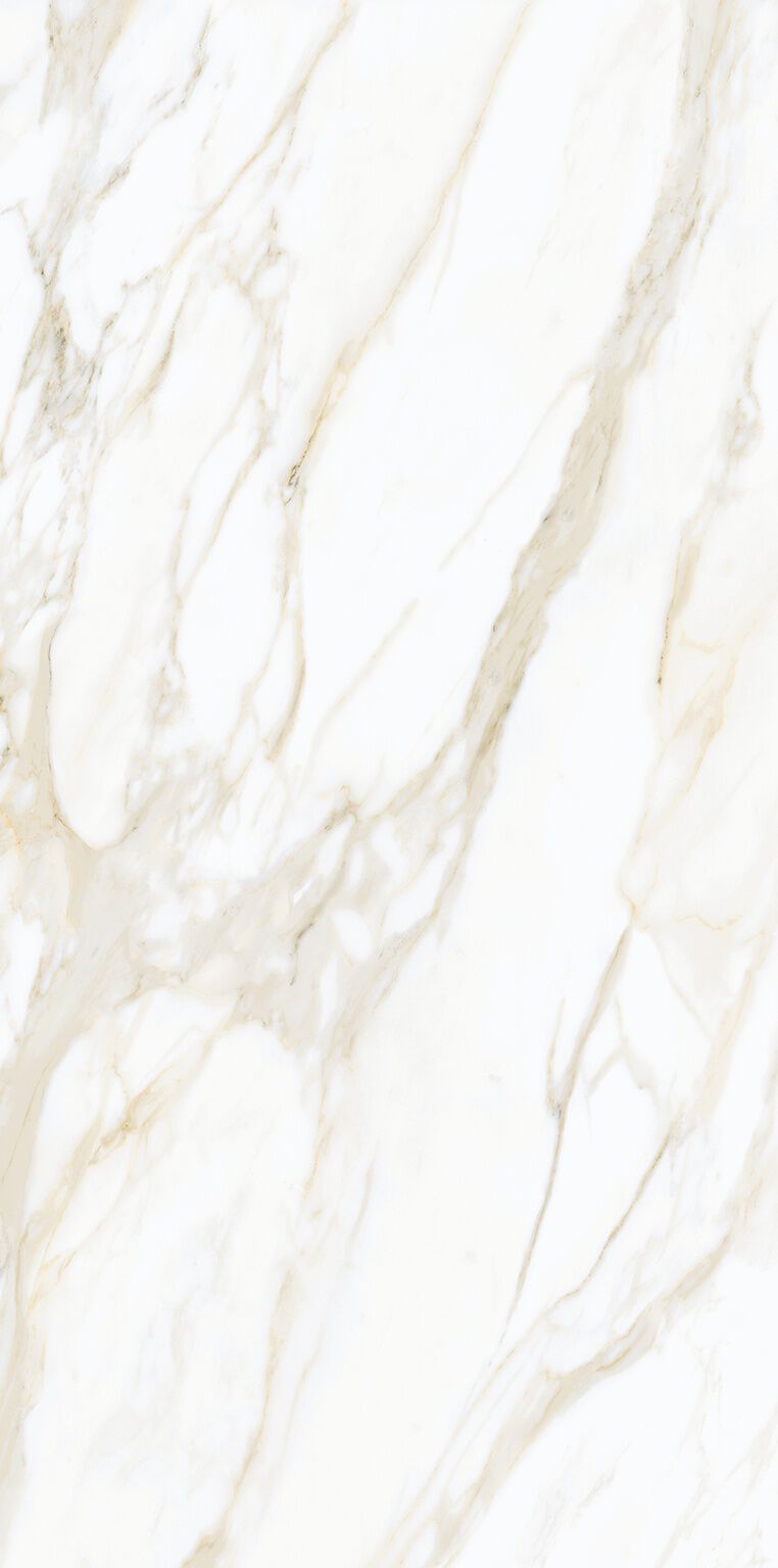 Feelosophy Rectificado image number null