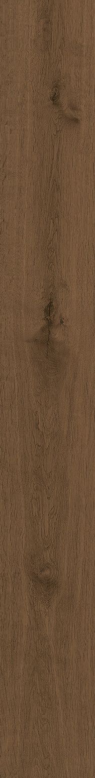 Heartwood