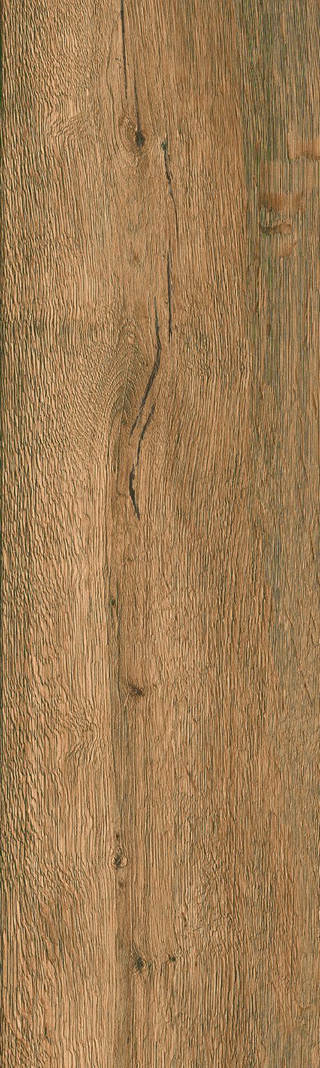 Sequoia