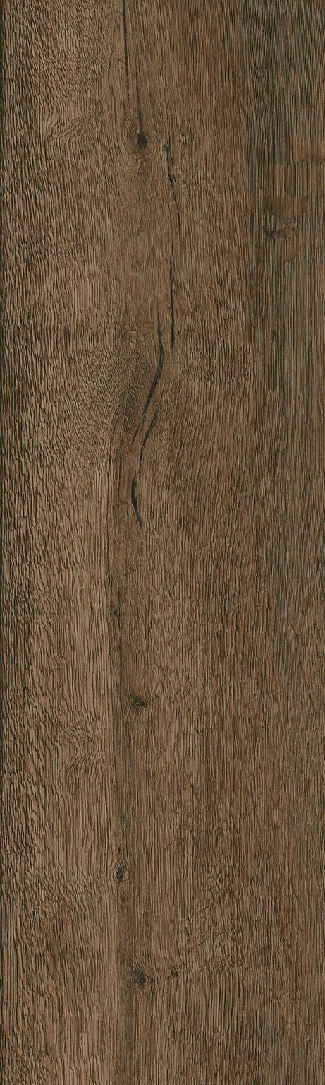 Sequoia
