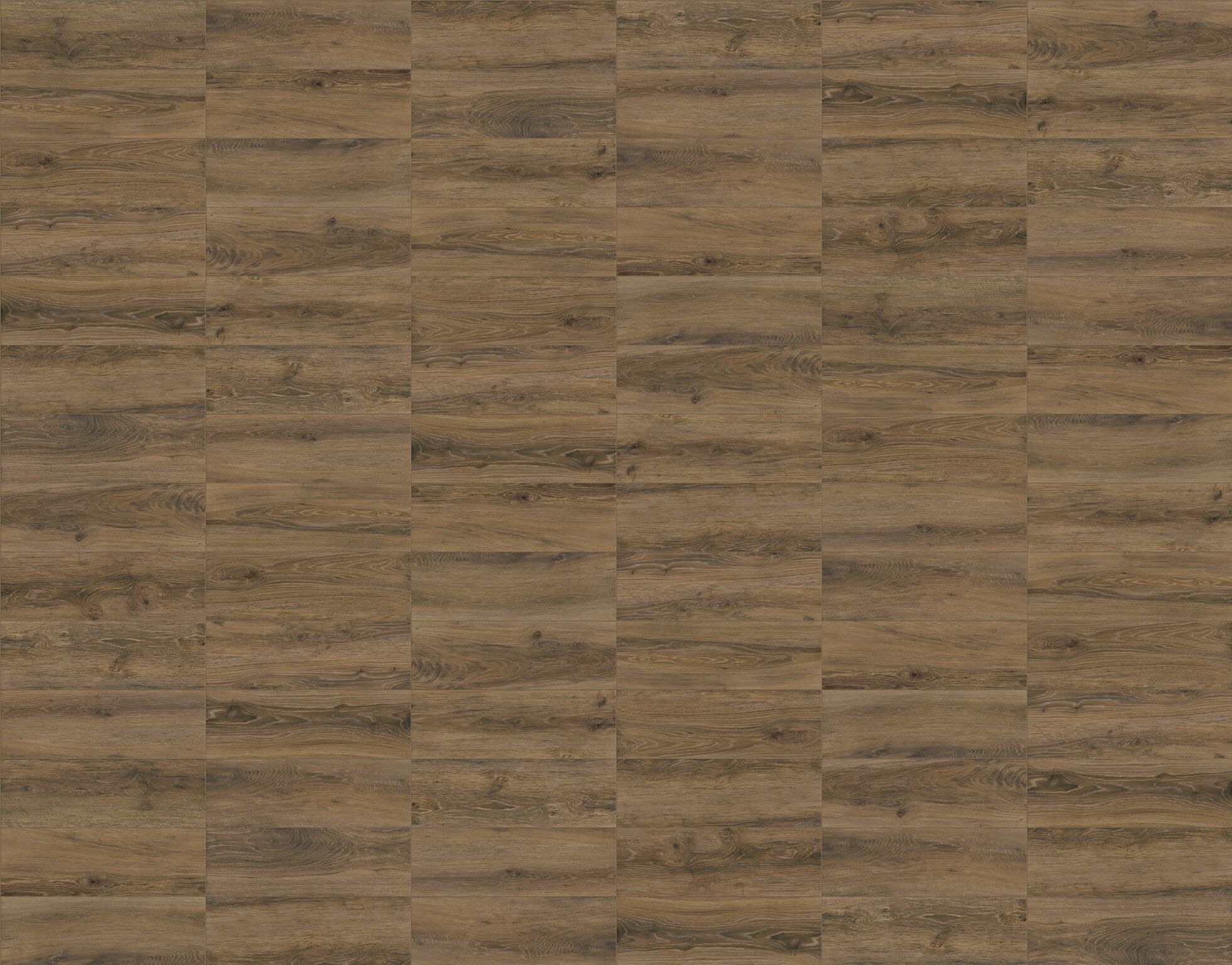 Rainforest image number null