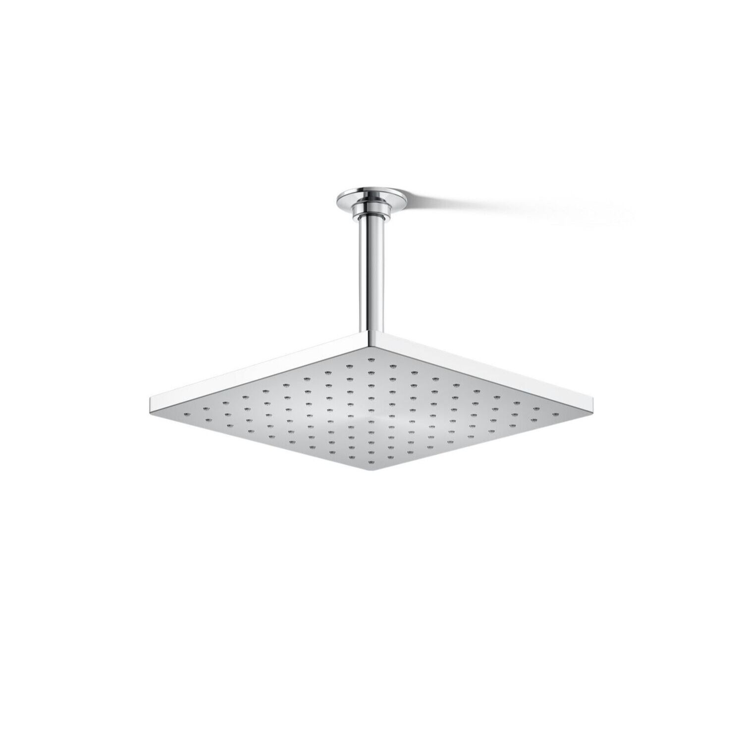 Cebolleta Honesty image number null