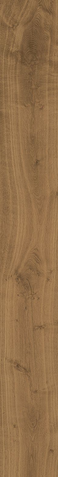 Heartwood
