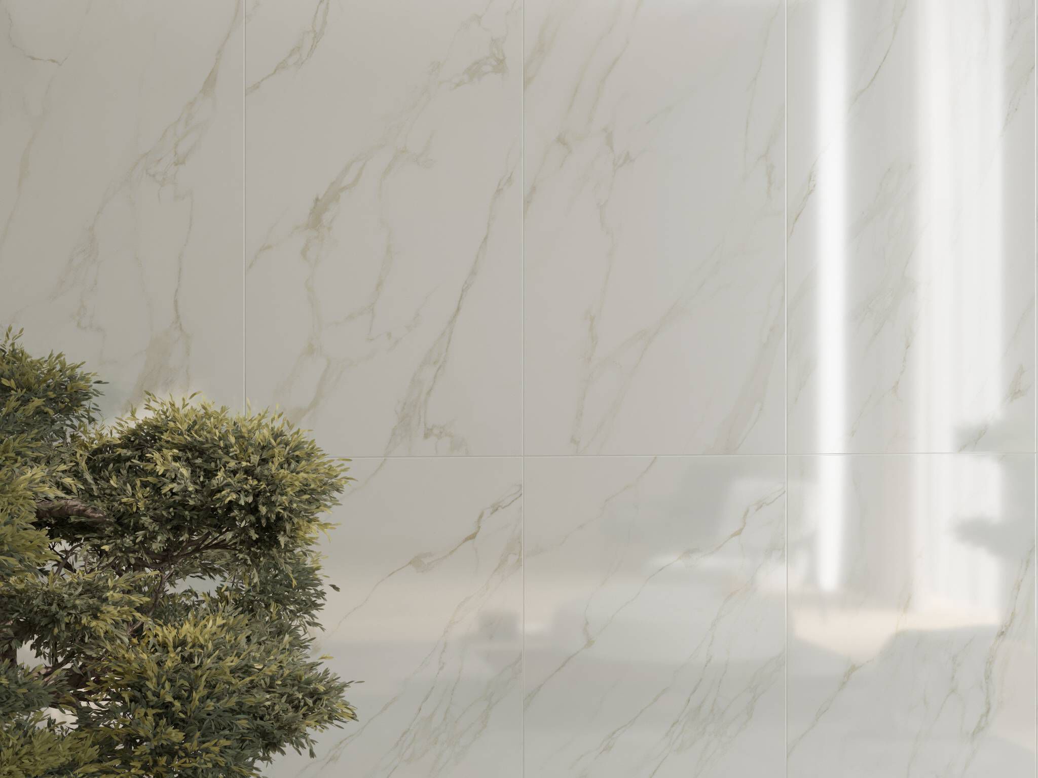 Elara Rectificado image number null