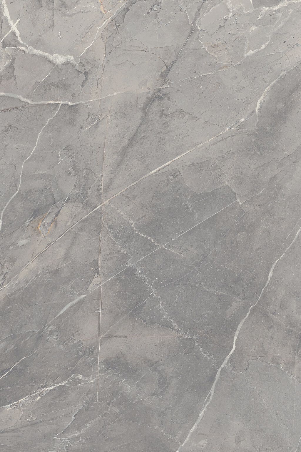 Tundra image number null