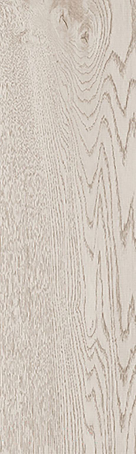 Lugano image number null