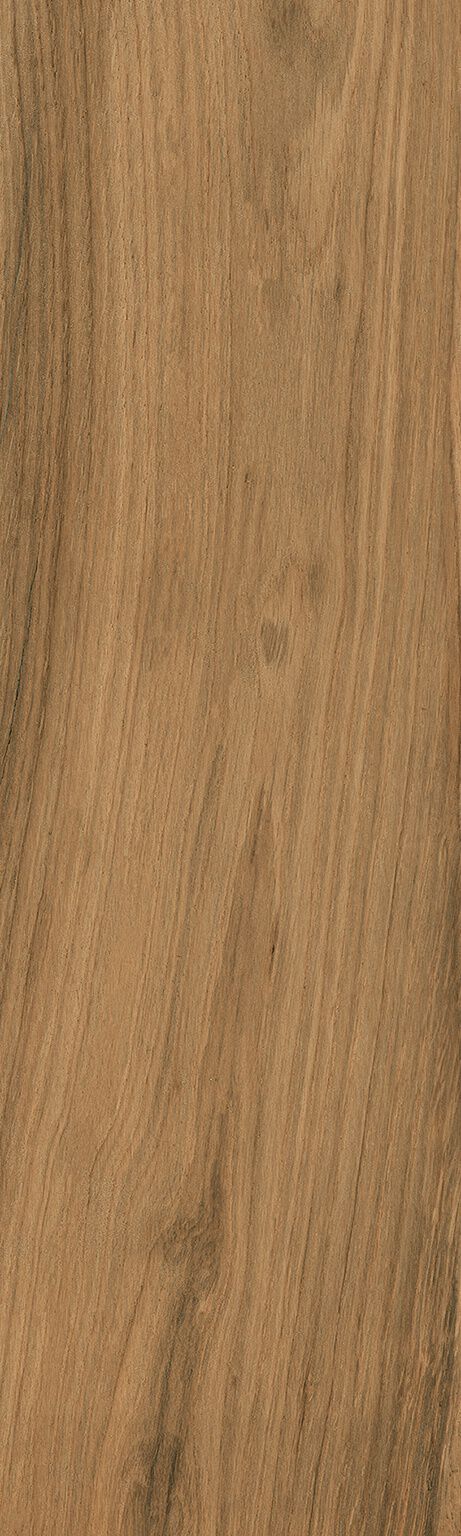 Somerset image number null