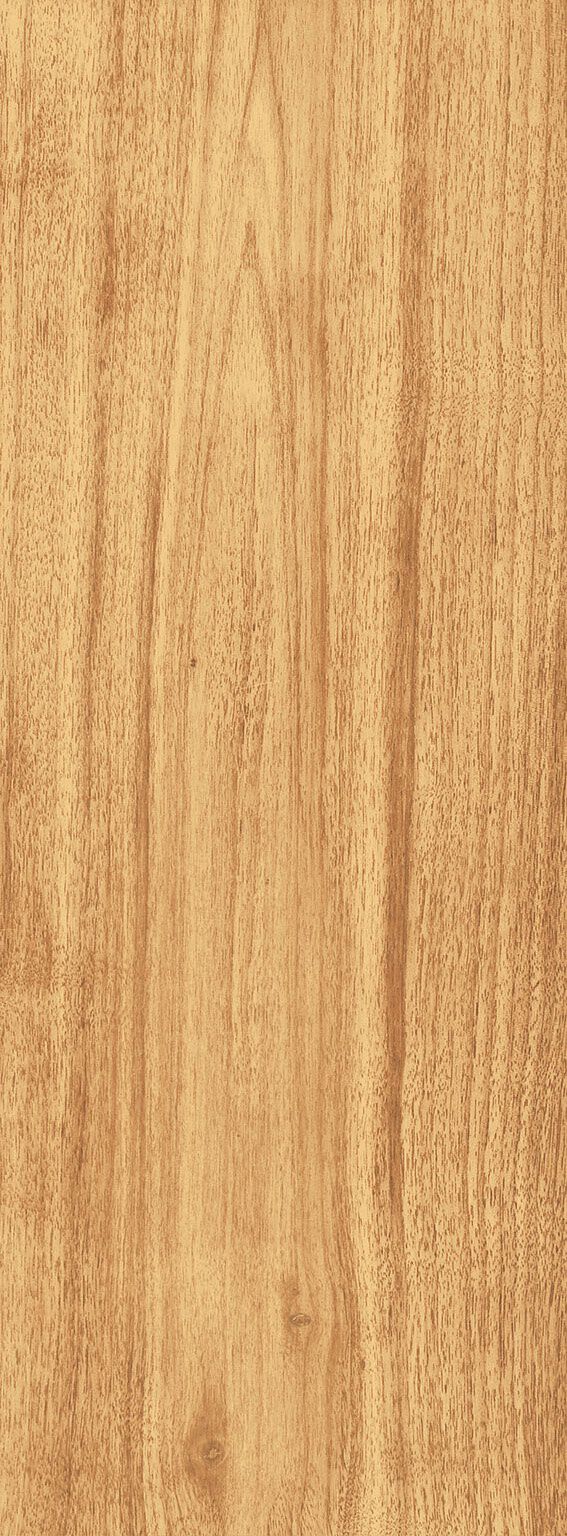 Wood Trails