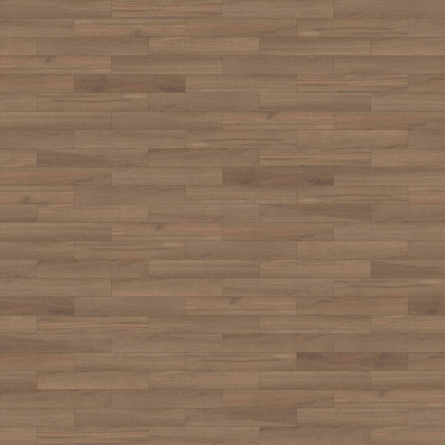 Botanika image number null