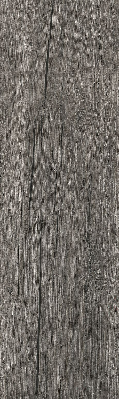 Zelanda image number null