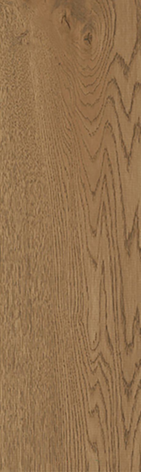 Lugano image number null