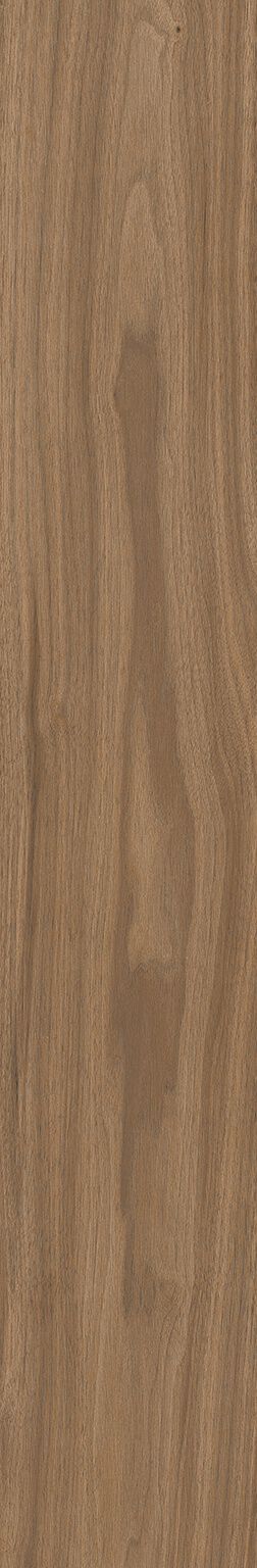 Copaiba image number null